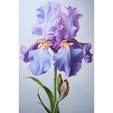 canvas of Iris Flower